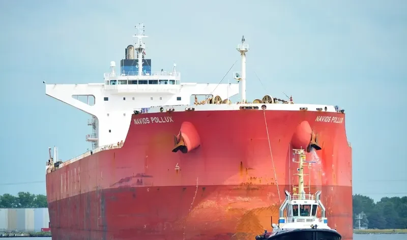 NAVIOS POLLUX Bulk Carrier IMO 9460033 photo 5