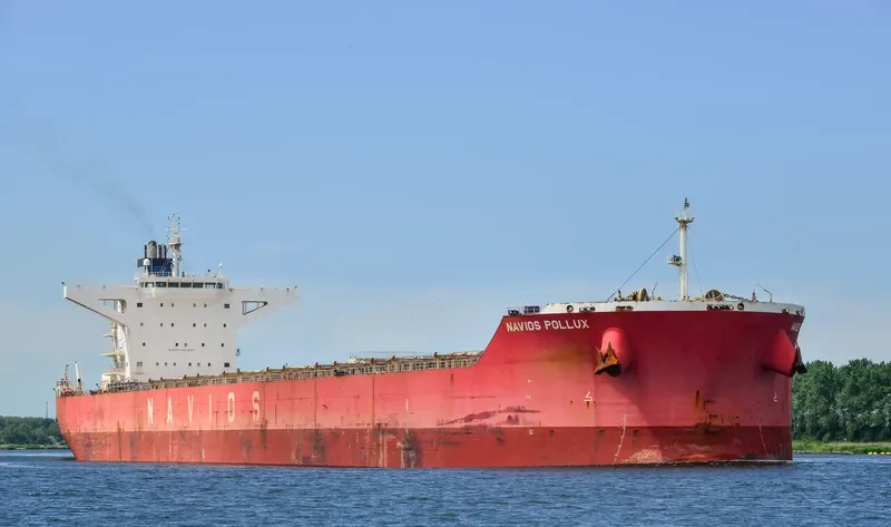 NAVIOS POLLUX Bulk Carrier IMO 9460033 photo 6