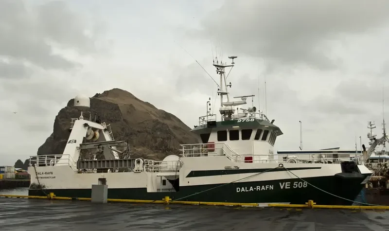 DALA RAFN General Cargo IMO 9460148 photo 3