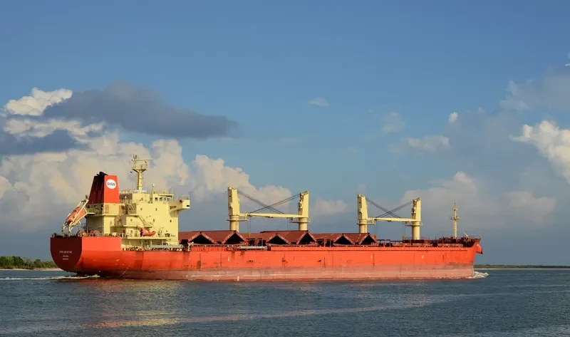 PAN KRISTINE Bulk Carrier IMO 9460186 photo 3