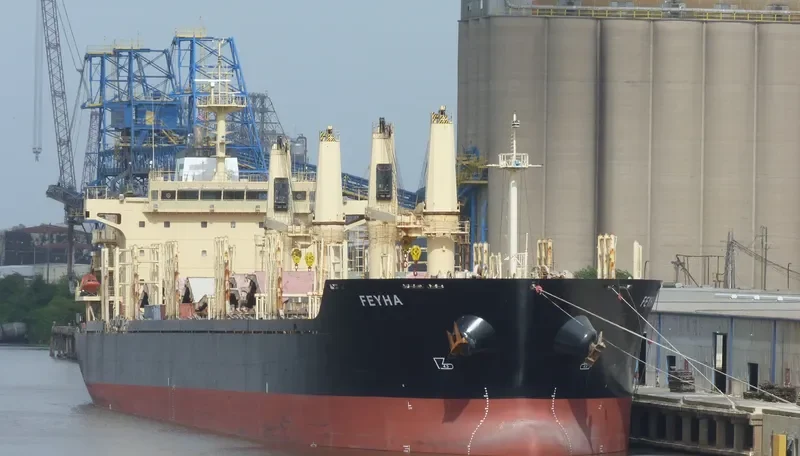 FEYHA Bulk Carrier IMO 9460265