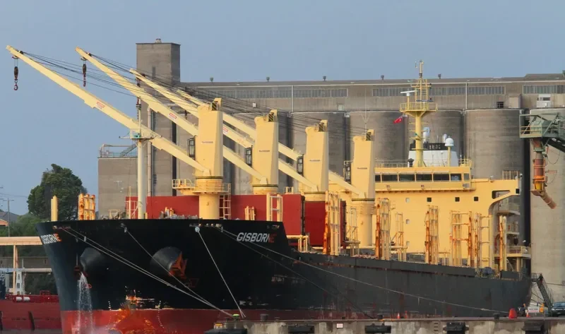 FEYHA Bulk Carrier IMO 9460265 photo 2