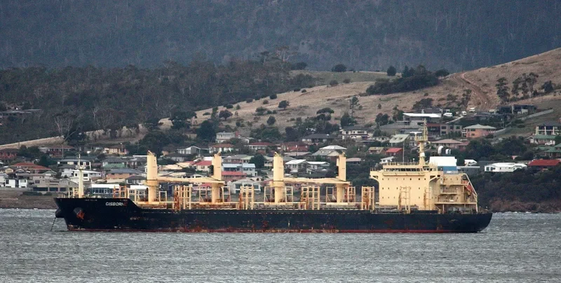 FEYHA Bulk Carrier IMO 9460265 photo 5