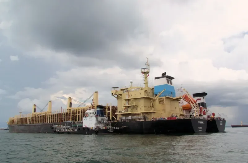 FEYHA Bulk Carrier IMO 9460265 photo 8
