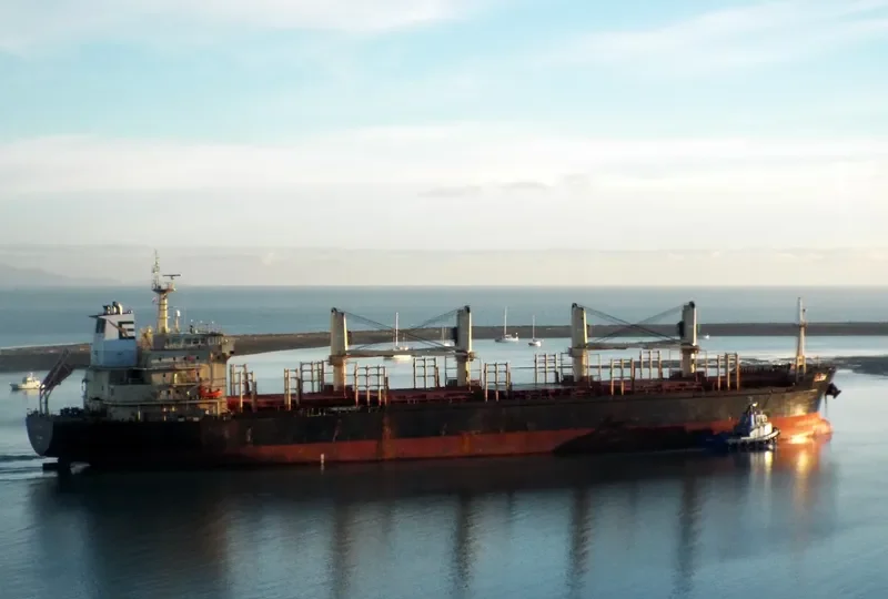 JOANNA Bulk Carrier IMO 9460277 photo 2