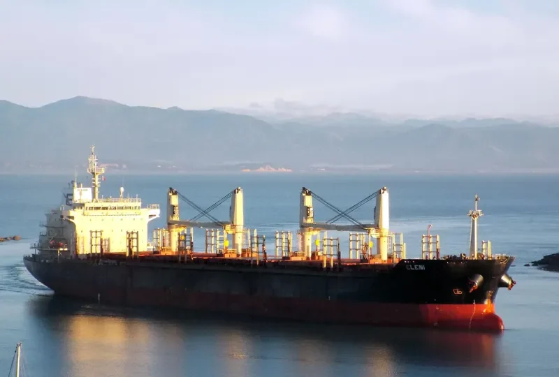 JOANNA Bulk Carrier IMO 9460277 photo 3