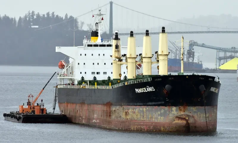 PANOCEANIS Bulk Carrier IMO 9460320
