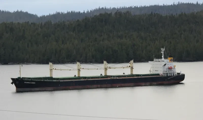 PANOCEANIS Bulk Carrier IMO 9460320 photo 2