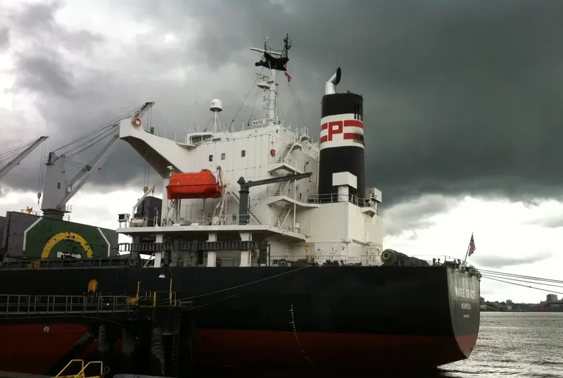 HINOKI Bulk Carrier IMO 9460332 photo 5