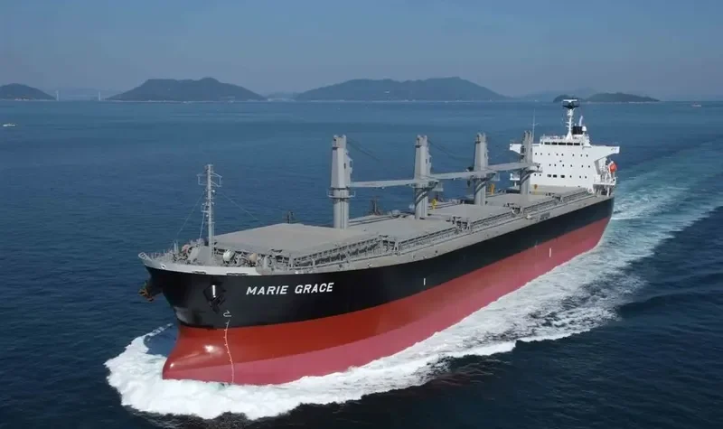 HINOKI Bulk Carrier IMO 9460332 photo 8