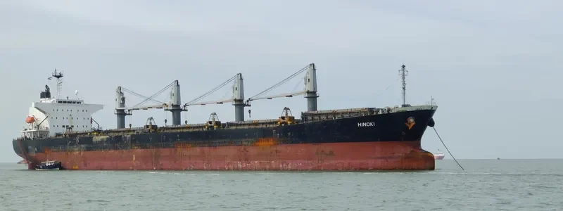 HINOKI Bulk Carrier IMO 9460332 photo 9