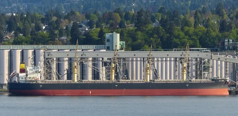 JIN HONG Bulk Carrier IMO 9460382 photo 4