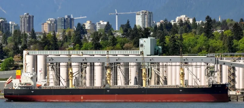JIN HONG Bulk Carrier IMO 9460382 photo 5
