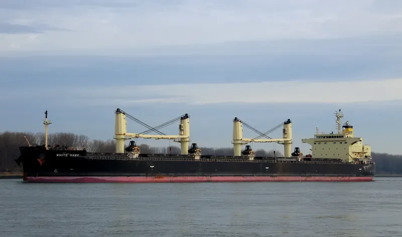 WHITE HAWK Bulk Carrier IMO 9460394 photo 5