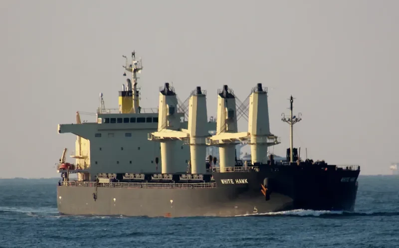 WHITE HAWK Bulk Carrier IMO 9460394 photo 7