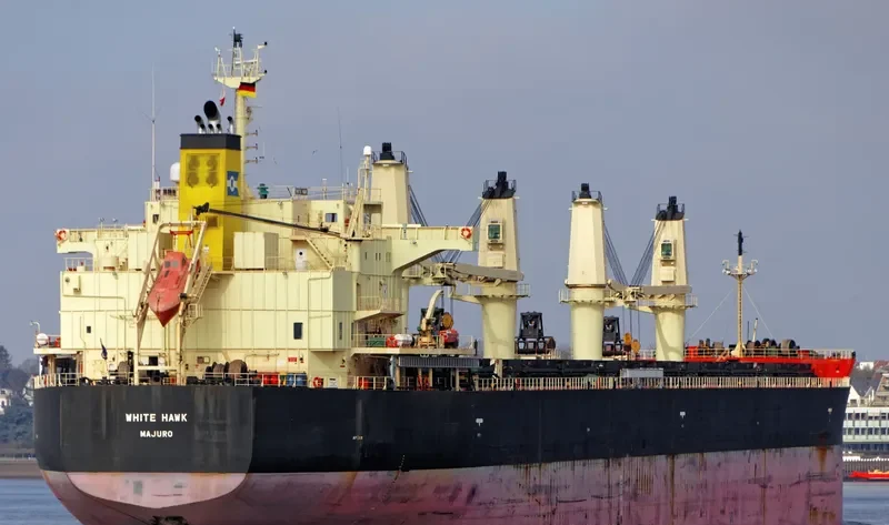 WHITE HAWK Bulk Carrier IMO 9460394 photo 8