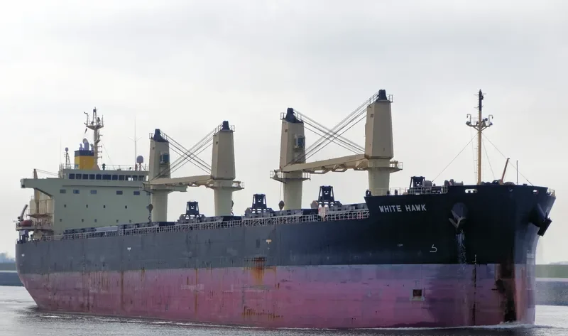 WHITE HAWK Bulk Carrier IMO 9460394 photo 9