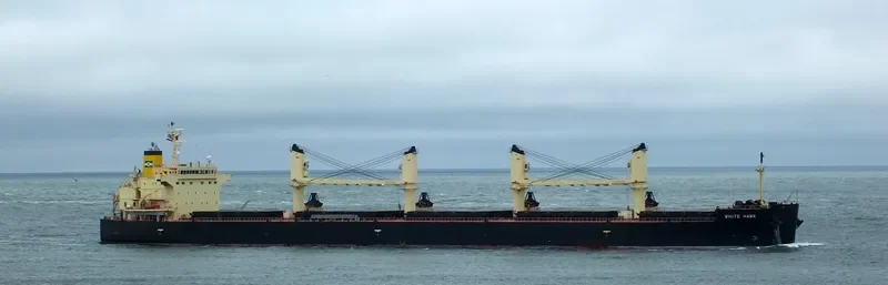 WHITE HAWK Bulk Carrier IMO 9460394 photo 10