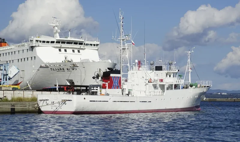 SHIBAURA General Cargo IMO 9460497 photo 4