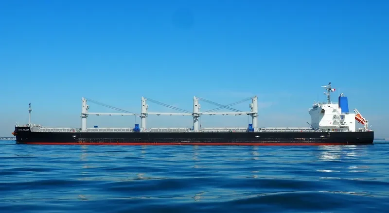 APHROS Bulk Carrier IMO 9460514 photo 4