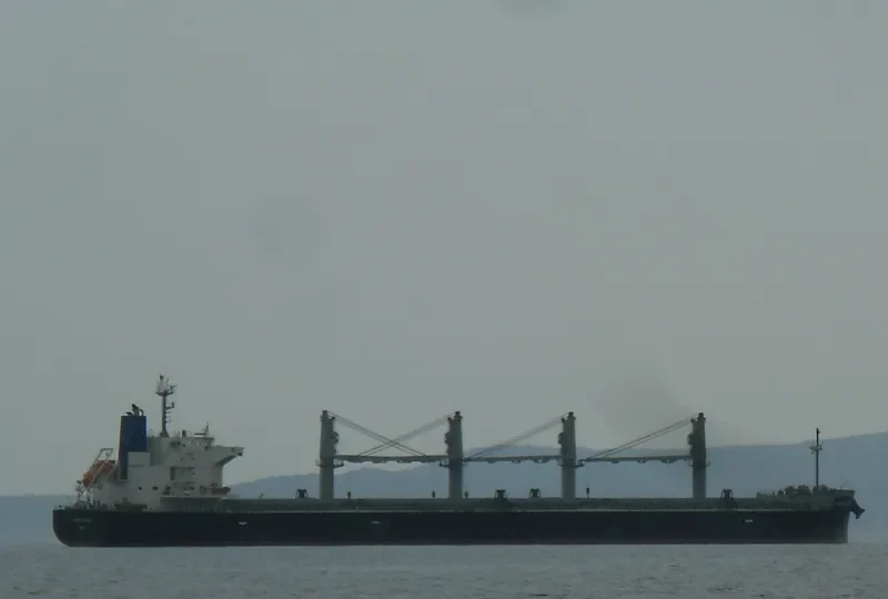 APHROS Bulk Carrier IMO 9460514 photo 5