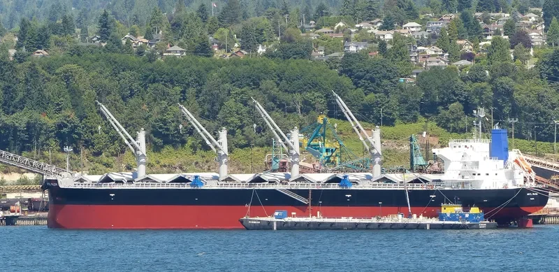APHROS Bulk Carrier IMO 9460514 photo 9