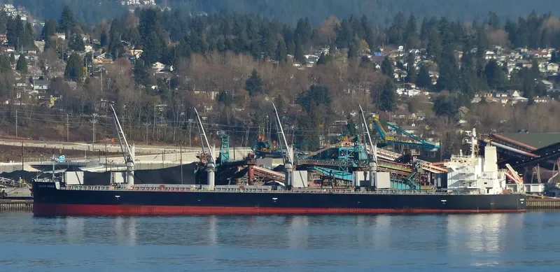 SUNLEAF GRACE Bulk Carrier IMO 9460526