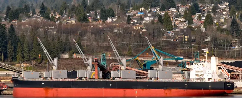 SUNLEAF GRACE Bulk Carrier IMO 9460526 photo 2