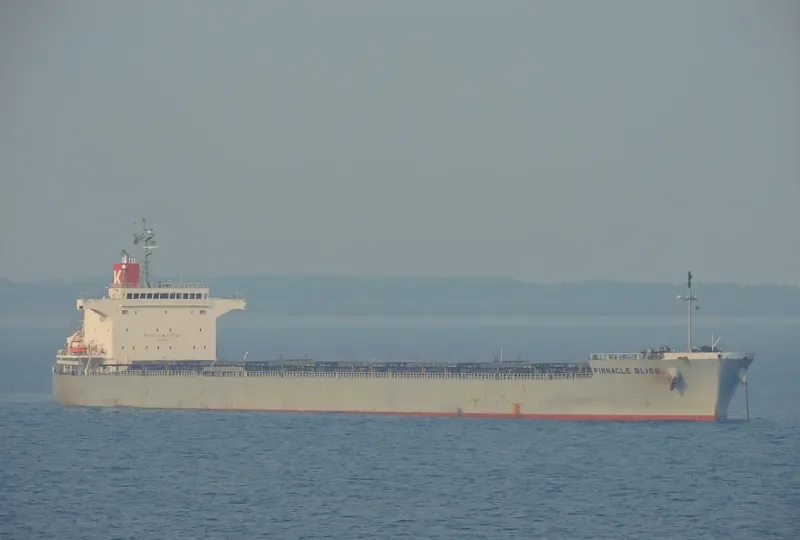 SEA JUNO Bulk Carrier IMO 9460588 photo 2