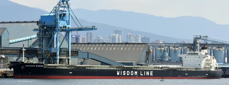 SAKIZAYA WISDOM Bulk Carrier IMO 9460590 photo 2