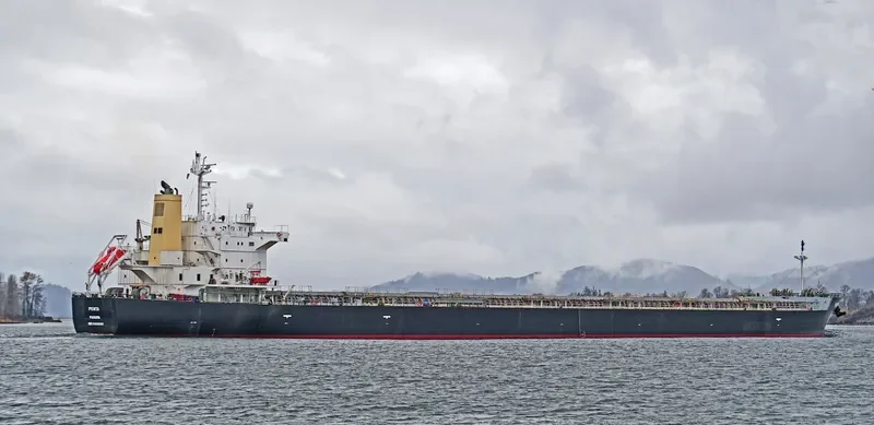 PENTA Bulk Carrier IMO 9460605 photo 9