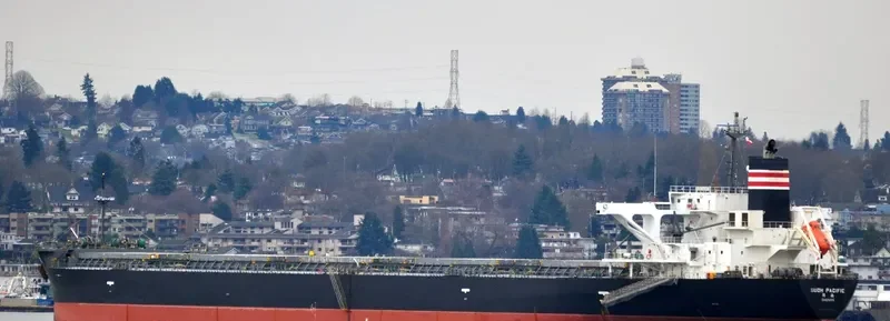 SUOH PACIFIC Bulk Carrier IMO 9460631 photo 3