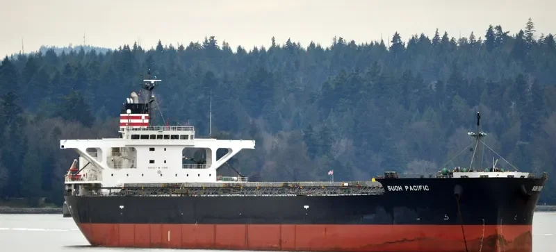 SUOH PACIFIC Bulk Carrier IMO 9460631 photo 4