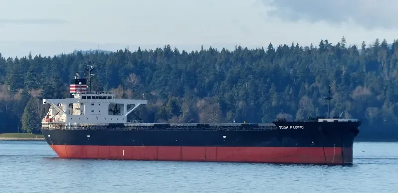 SUOH PACIFIC Bulk Carrier IMO 9460631 photo 5