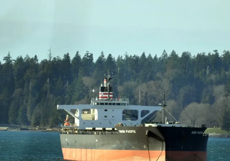 SUOH PACIFIC Bulk Carrier IMO 9460631 photo 6