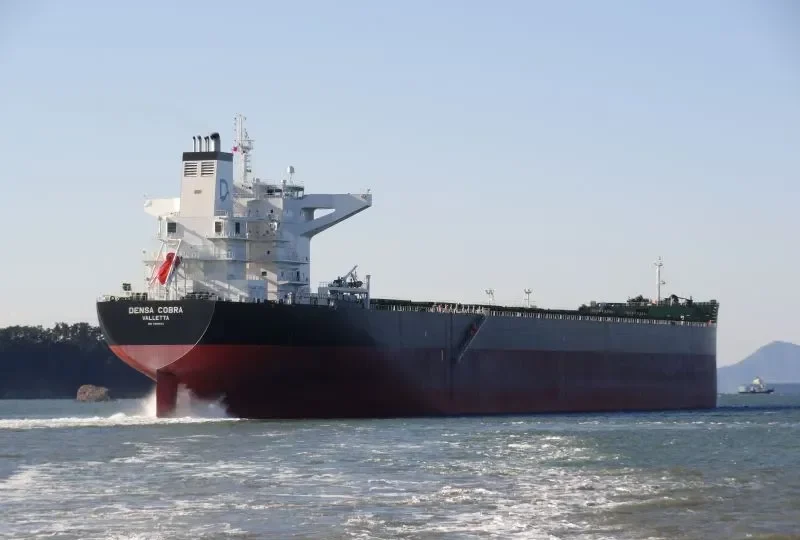 DENSA COBRA Bulk Carrier IMO 9460643 photo 5