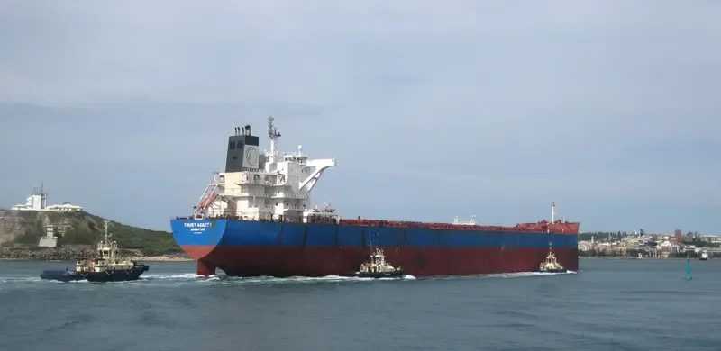 TRUST AGILITY Bulk Carrier IMO 9460655