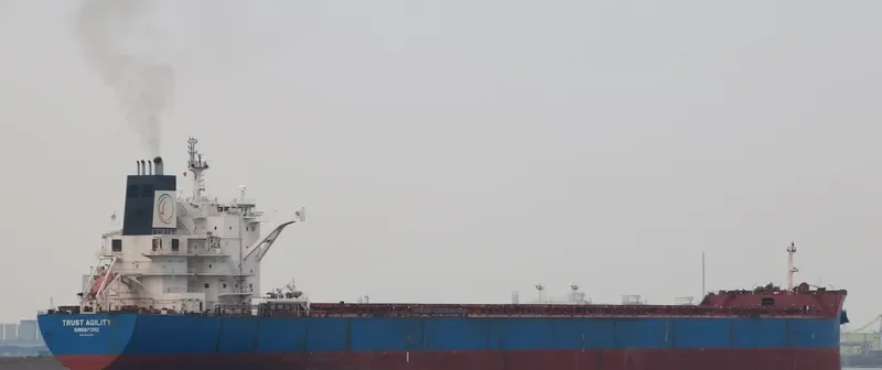 TRUST AGILITY Bulk Carrier IMO 9460655 photo 3