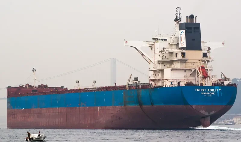TRUST AGILITY Bulk Carrier IMO 9460655 photo 7