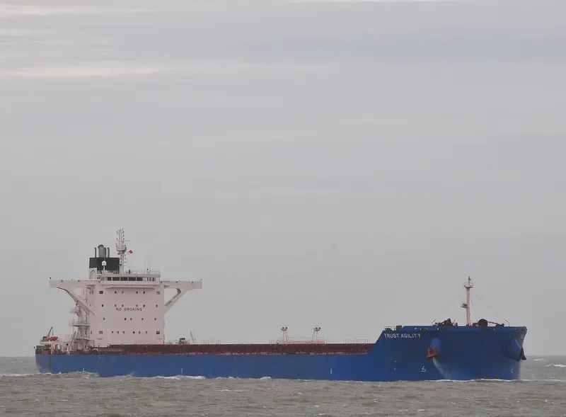 TRUST AGILITY Bulk Carrier IMO 9460655 photo 10