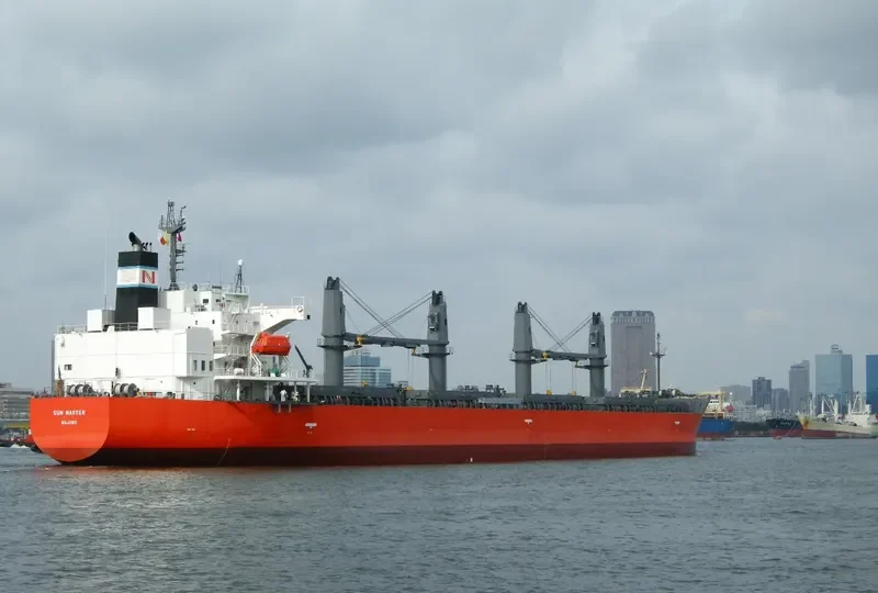 SUN MASTER Bulk Carrier IMO 9460681 photo 6