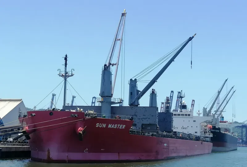 SUN MASTER Bulk Carrier IMO 9460681 photo 8