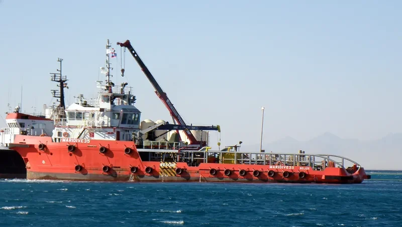 MARIDIVE 35 General Cargo IMO 9460758 photo 4