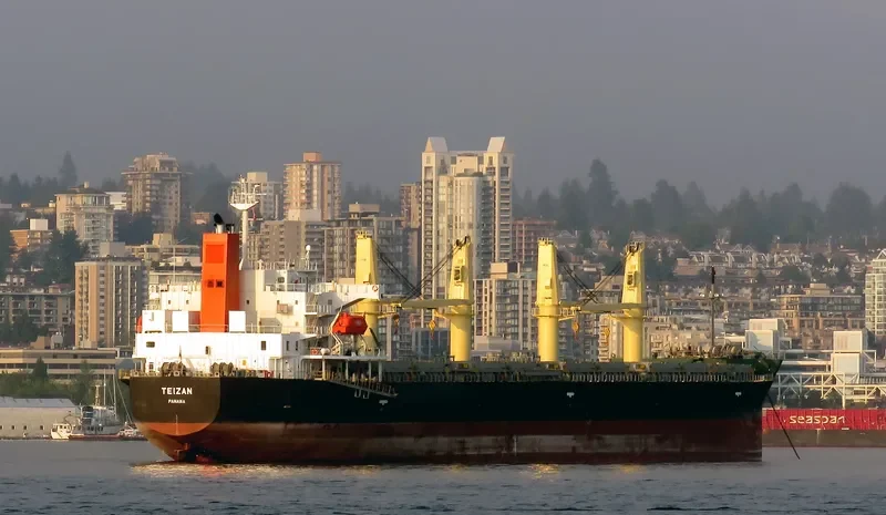 TRUE CONFIDENCE Bulk Carrier IMO 9460784 photo 6