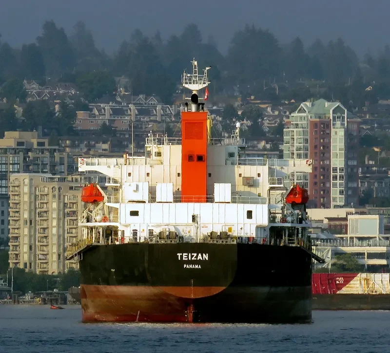 TRUE CONFIDENCE Bulk Carrier IMO 9460784 photo 7