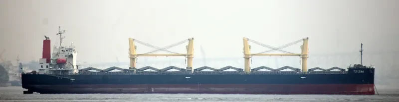 TRUE CONFIDENCE Bulk Carrier IMO 9460784 photo 9
