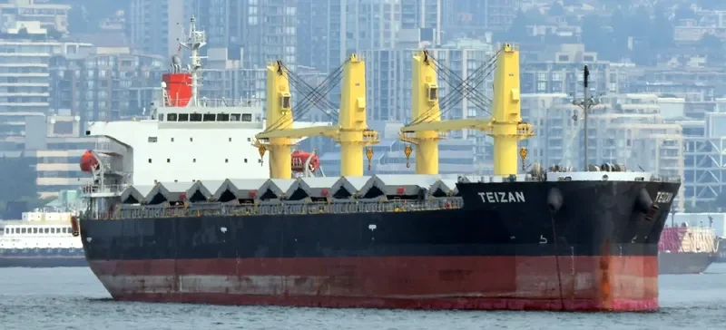 TRUE CONFIDENCE Bulk Carrier IMO 9460784 photo 10