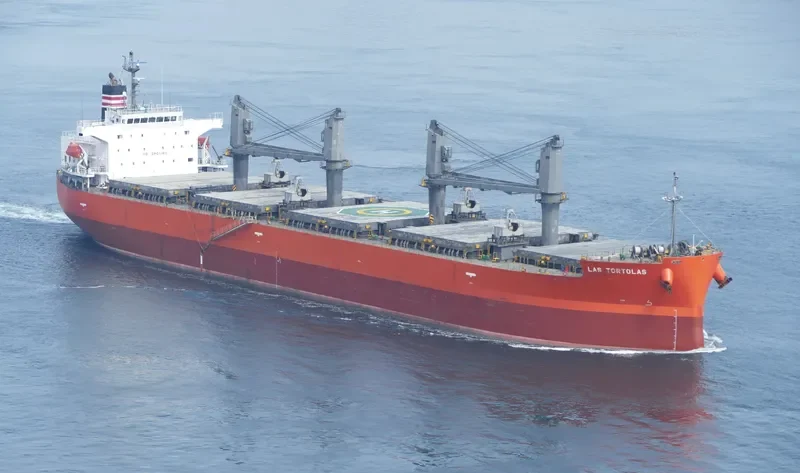 TREMOLA Bulk Carrier IMO 9460813
