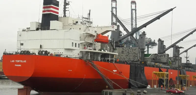 TREMOLA Bulk Carrier IMO 9460813 photo 2