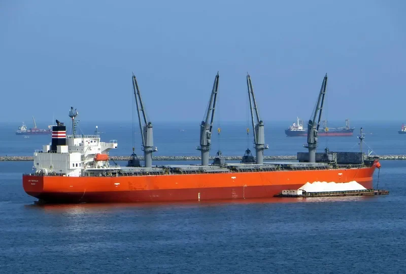 TREMOLA Bulk Carrier IMO 9460813 photo 7